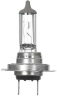 Галогенная лампа Osram Original 64210 / H7 / PX26d / 3200K / 1500Лм / 55Вт / теплый белый