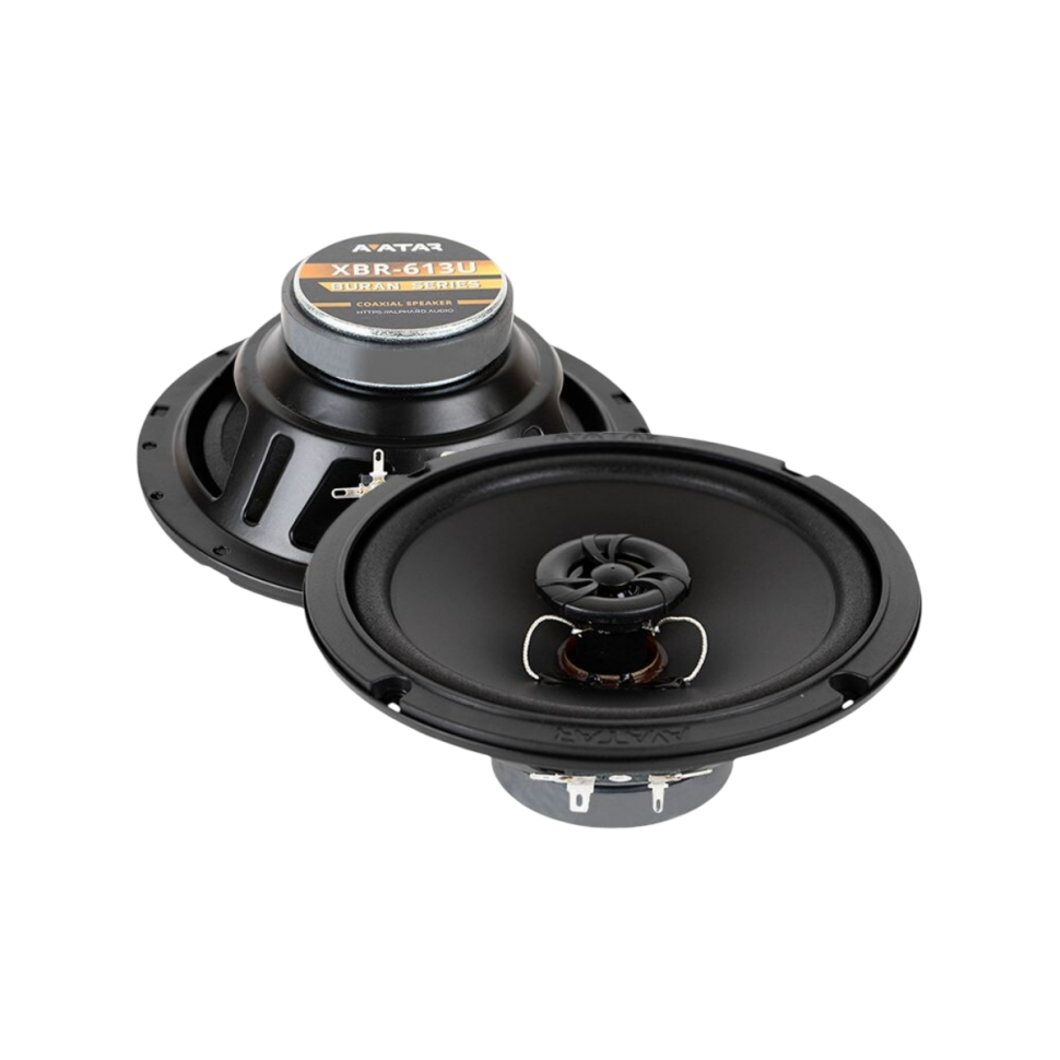 Avatar XBR-613U
